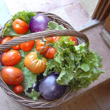 Atelier Farm stay Cetona
