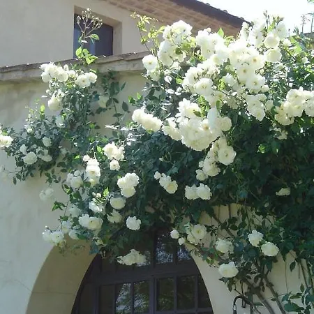 Farm stay Atelier